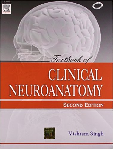 Basic neuroanatomy pdf